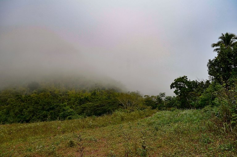 niebla sierra 06.jpg