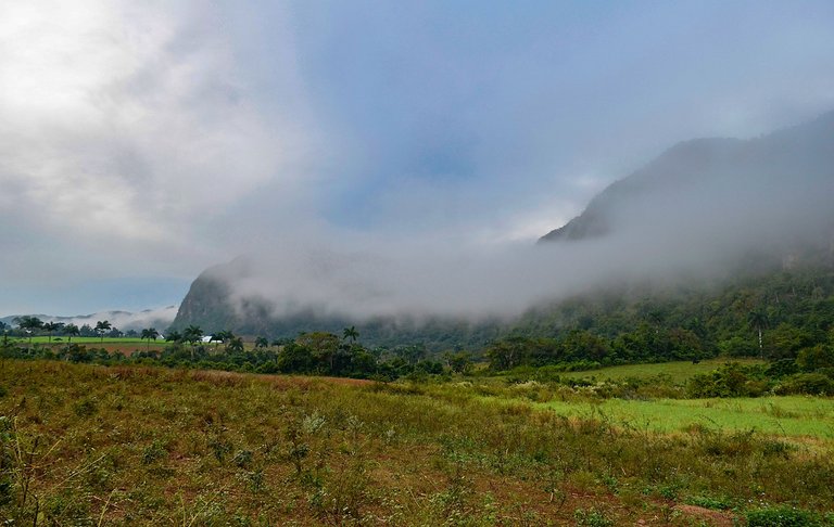 niebla sierra 11.jpg