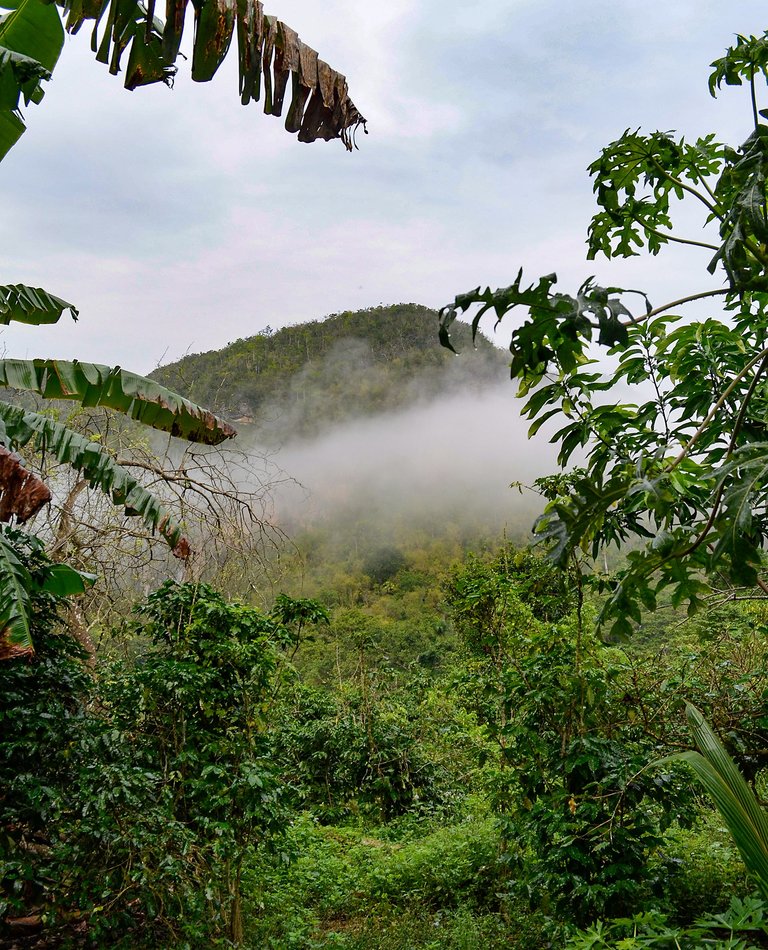 niebla sierra 02.jpg