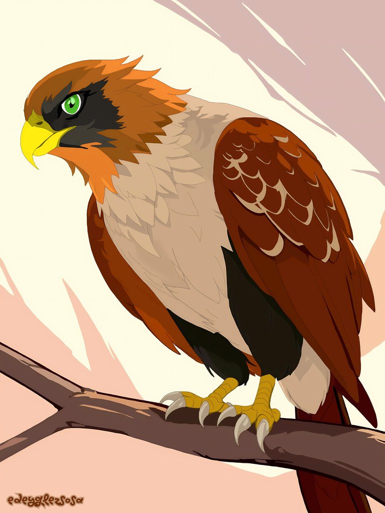 edeyglezsosa.png