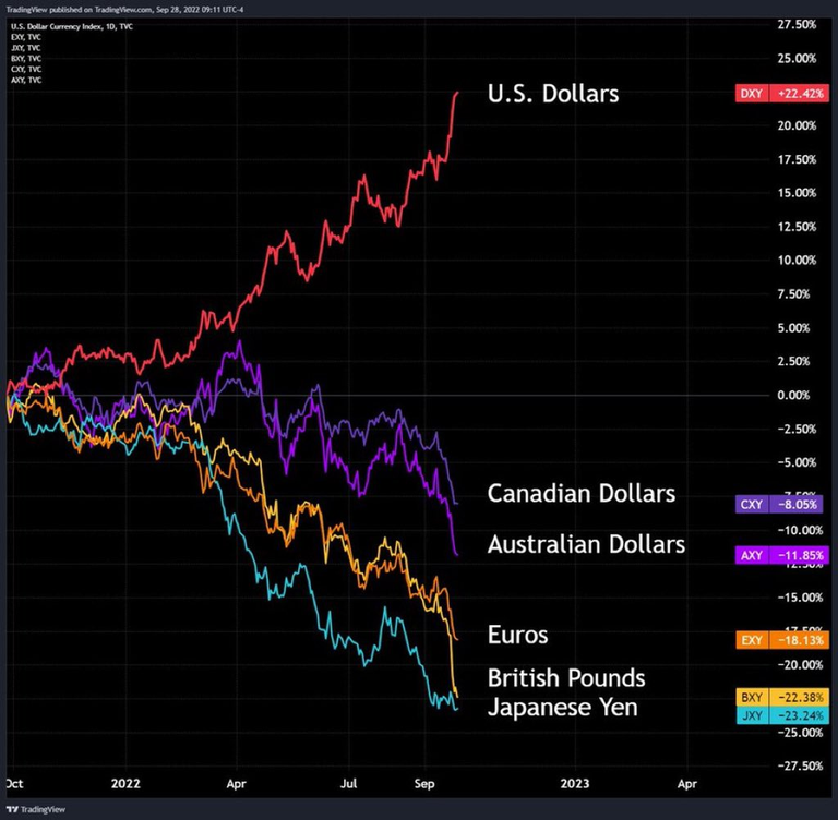 dollar-milkshake-usd-fiat.png