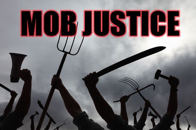 Mob Justice pickfork revolution.jpg