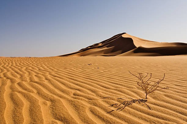 shifting-sand-desert.jpg