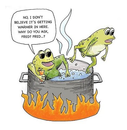 boilingfrogsdrawing.jpg