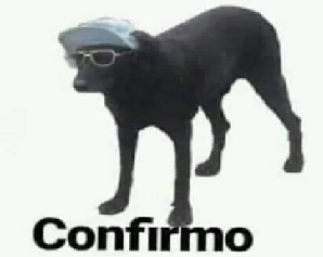 confirmo 2.png