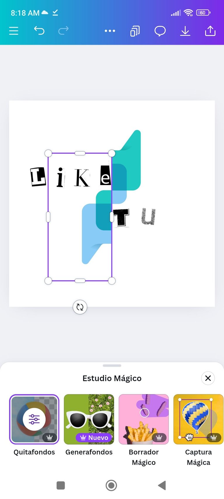 Screenshot_2025-06-10-08-18-06-098_com.canva.editor.jpg