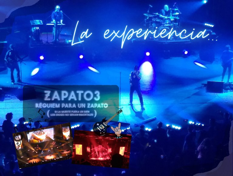 zapato 3  (1).png