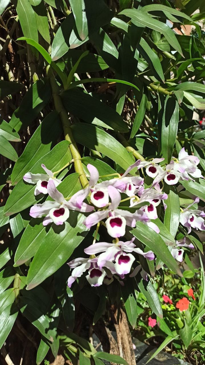 telegram-cloud-photo-size-1-5161625983789410977-y.jpg