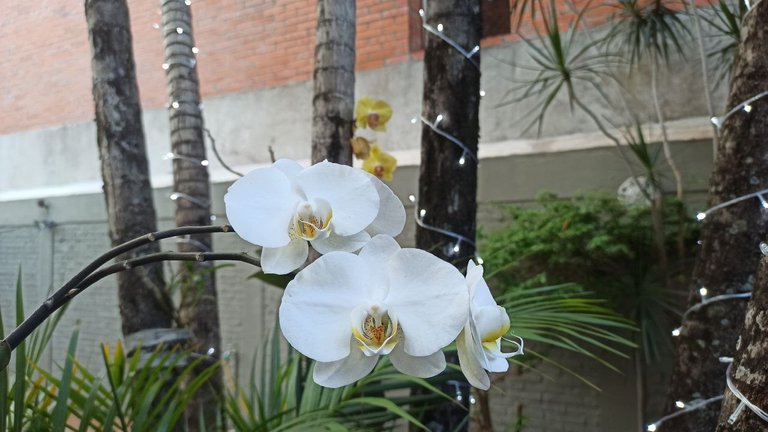 telegram-cloud-photo-size-1-4956461855690304301-y.jpg