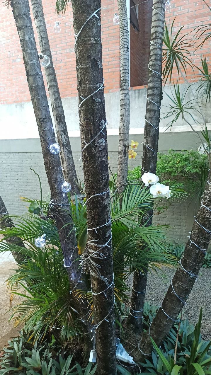 telegram-cloud-photo-size-1-4956461855690304303-y.jpg