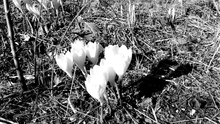 IMG_20220930_093049090+ - Copy.jpg