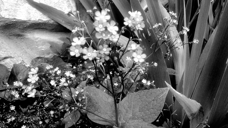 IMG_20190525_131800610++ - Copy.jpg