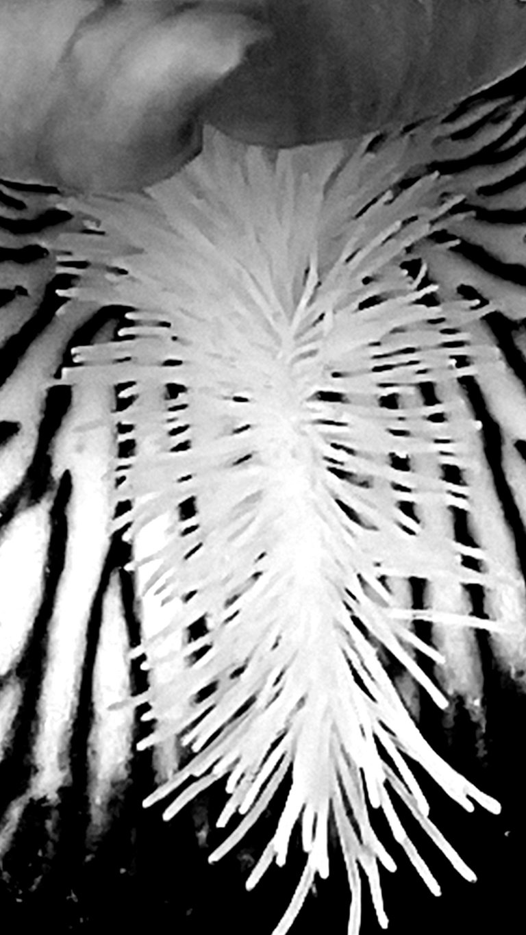 IMG_20230514_110326_403++ - Copy.jpg