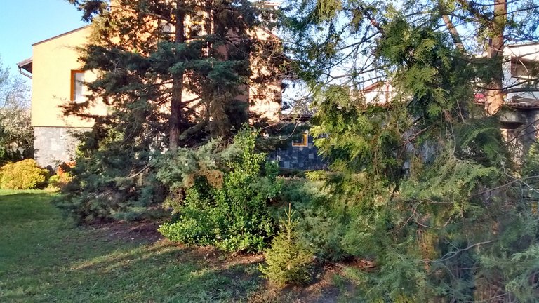 IMG_20190417_081249416_HDR++.jpg