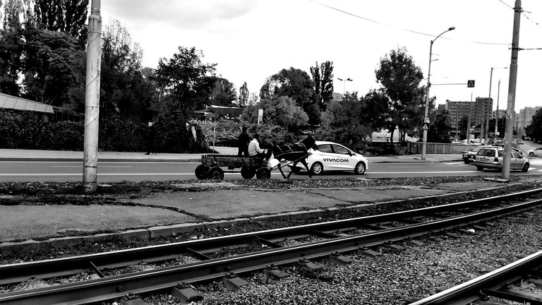 IMG_20211023_115328555_HDR+ - Copy.jpg