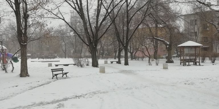 IMG_20181220_085136++.jpg