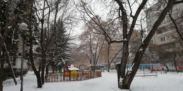 IMG_20181220_084518++.jpg