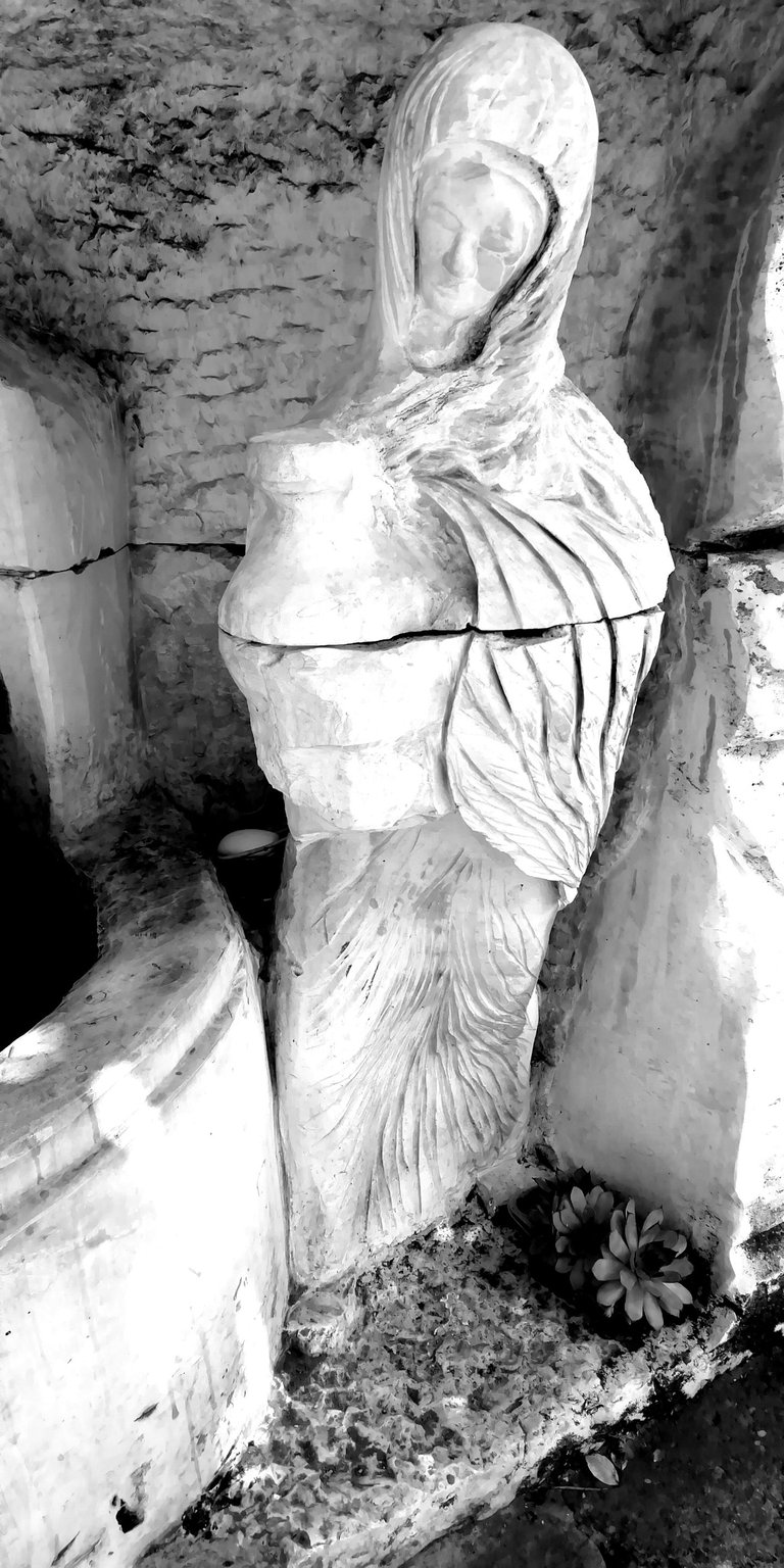 IMG_20200621_133408+ - Copy+.jpg