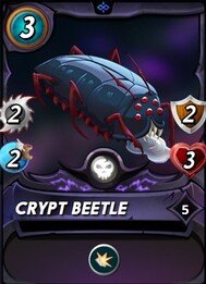 crypt beetle.jpg