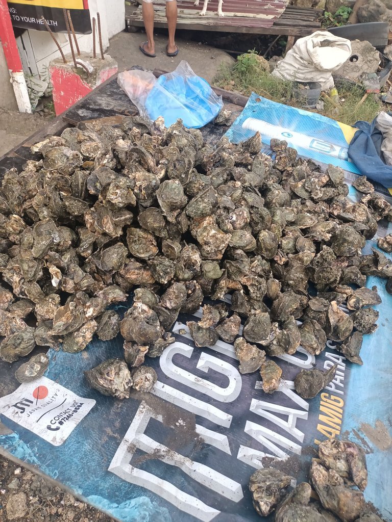IMG20250806060850.jpg