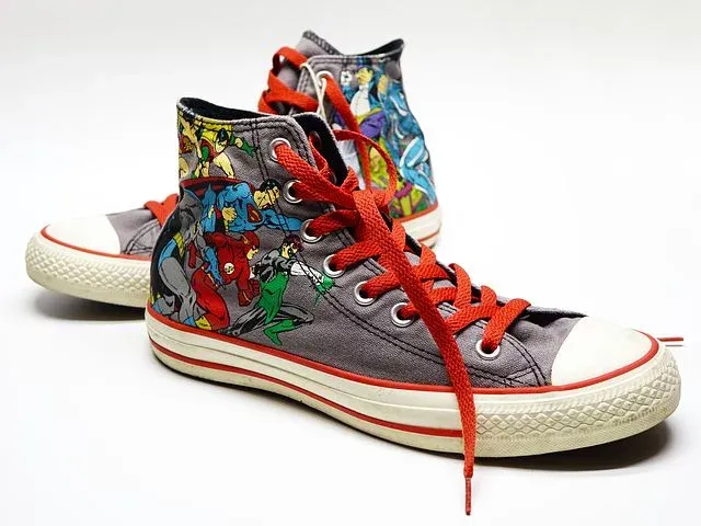 shoe1433925__480.webp