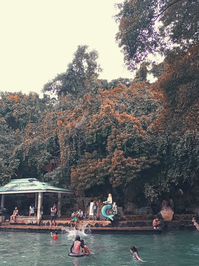 IMG20230205162107.jpg