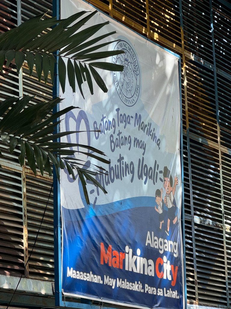 IMG_5386.jpeg