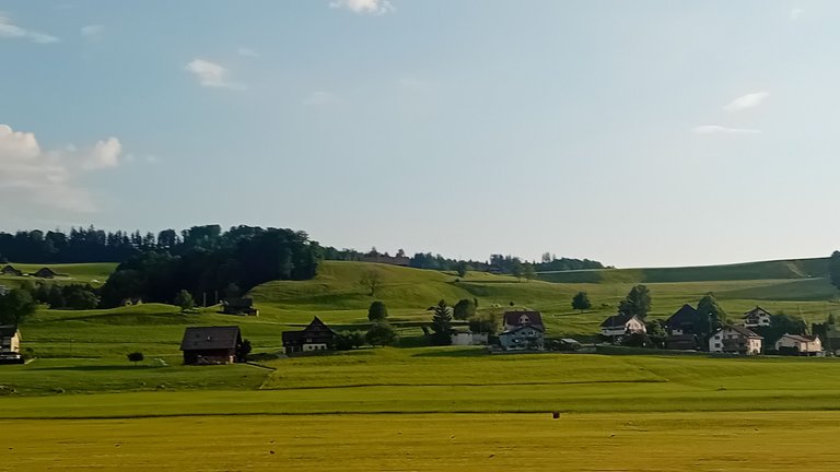 20250703_070758.jpg
