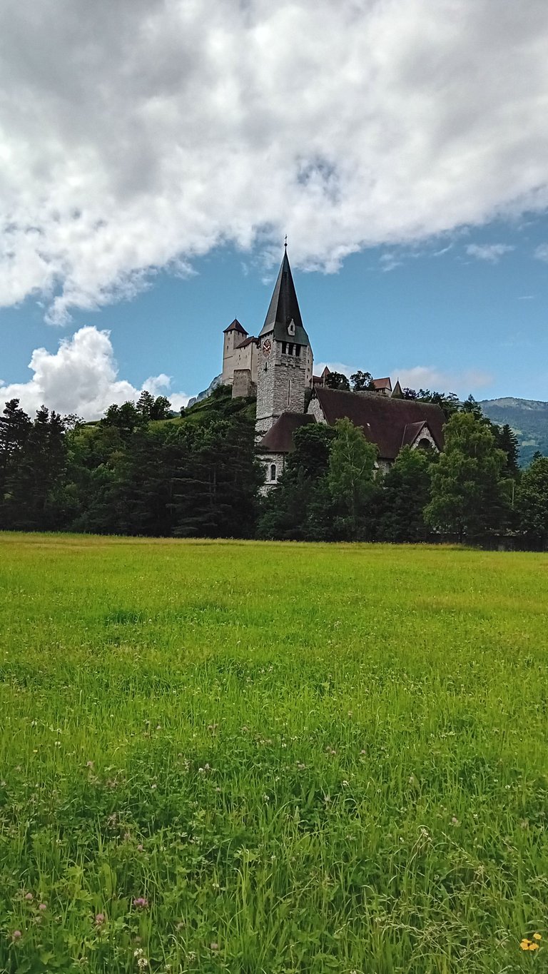 20250607_144954.jpg