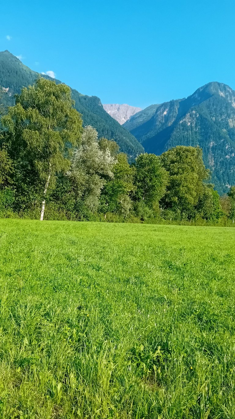 20250618_180144.jpg