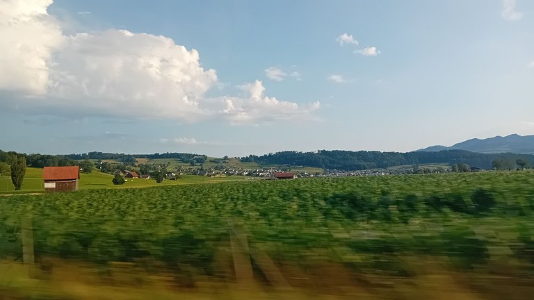 20250703_070651.jpg