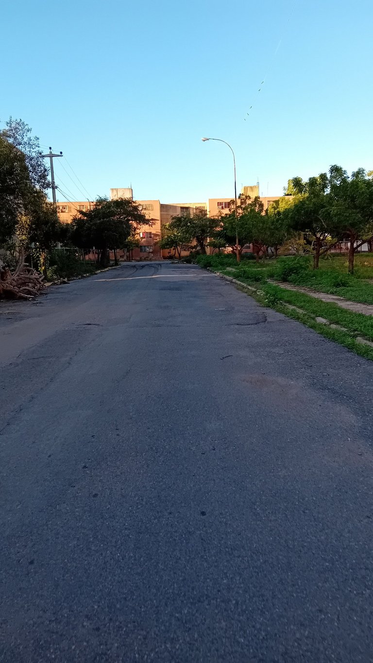 20231114_064600.jpg