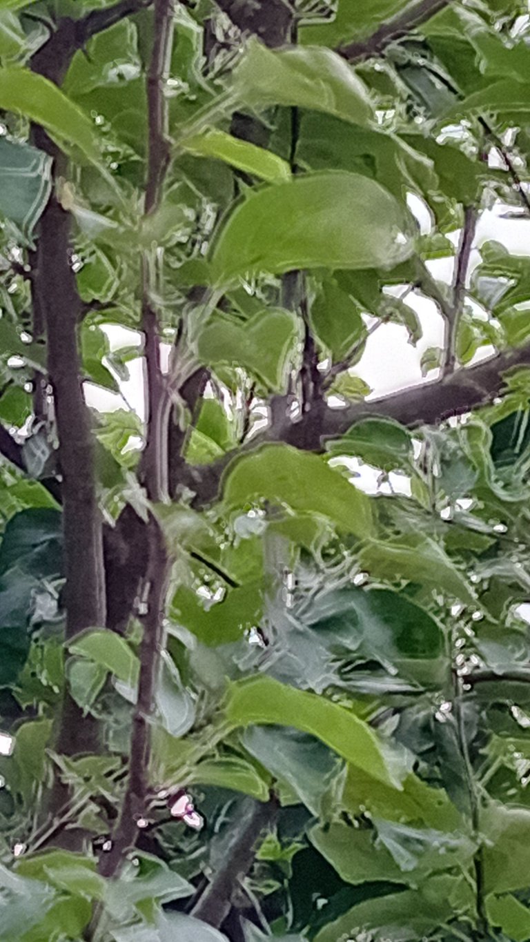 20250701_090235.jpg