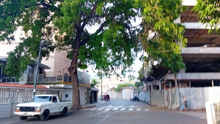 20250531_065408.jpg