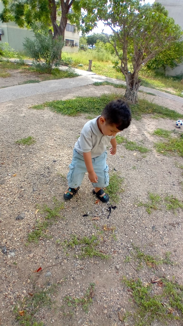 20250721_164319.jpg