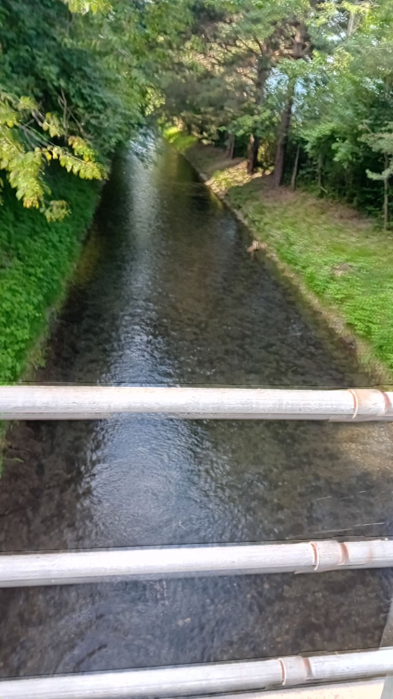 20250623_074943.jpg