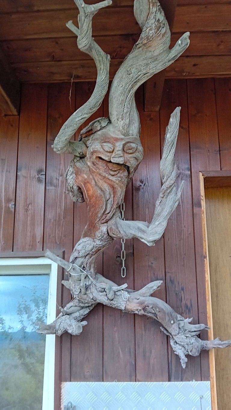 20250701_090923.jpg
