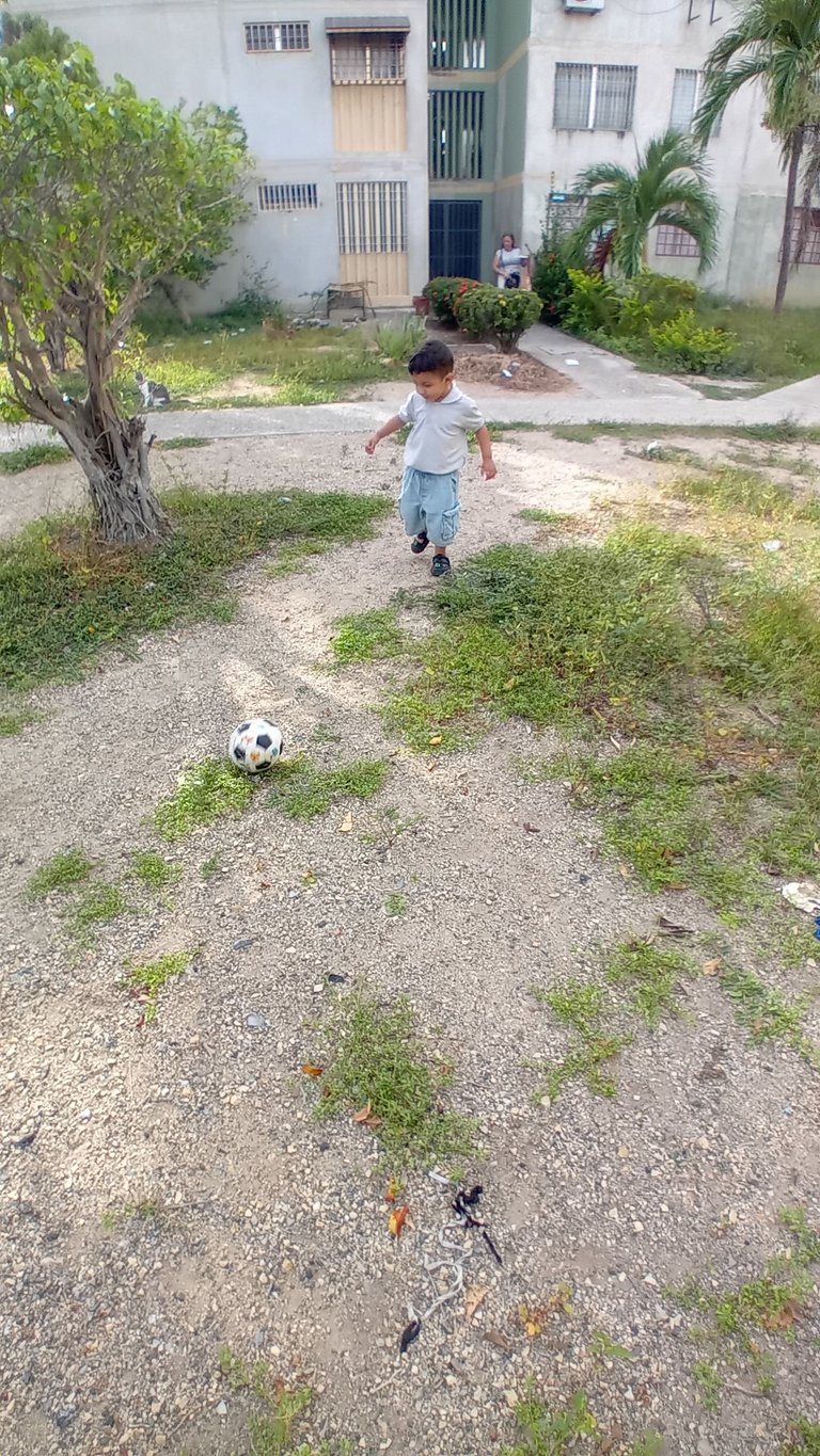 20250721_164344.jpg