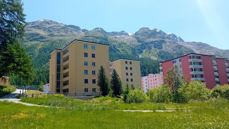 20250620_132631.jpg