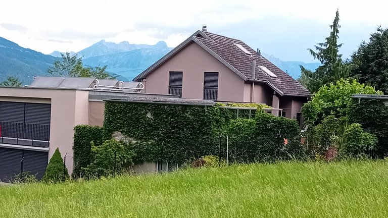20250701_093039.jpg