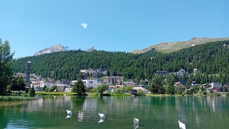 20250620_132641.jpg
