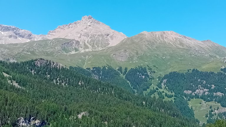 20250620_120416.jpg