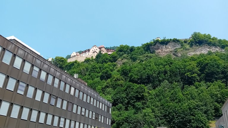 20250609_144445.jpg