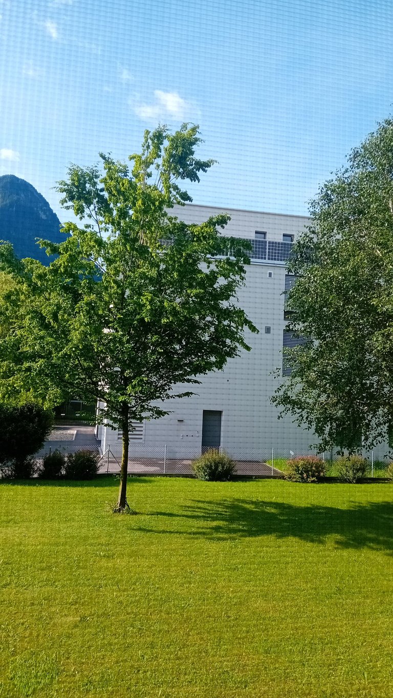 20250603_090359.jpg