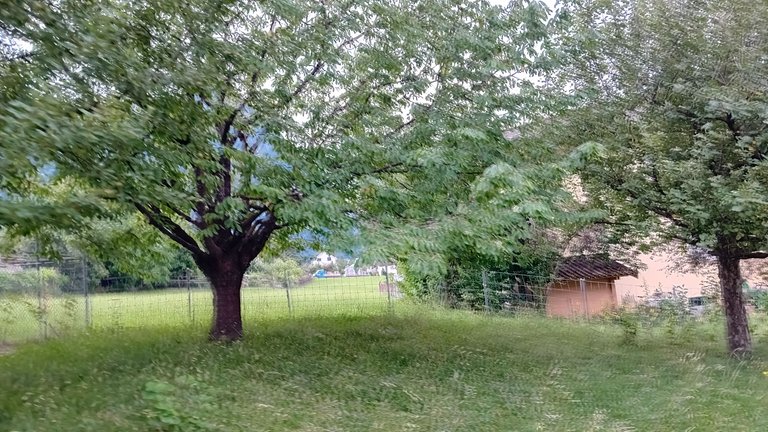 20250701_090938.jpg