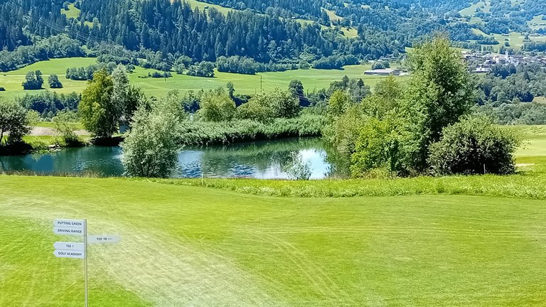 20250630_122926.jpg