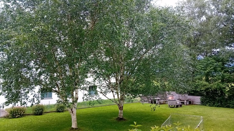 20250605_163212.jpg