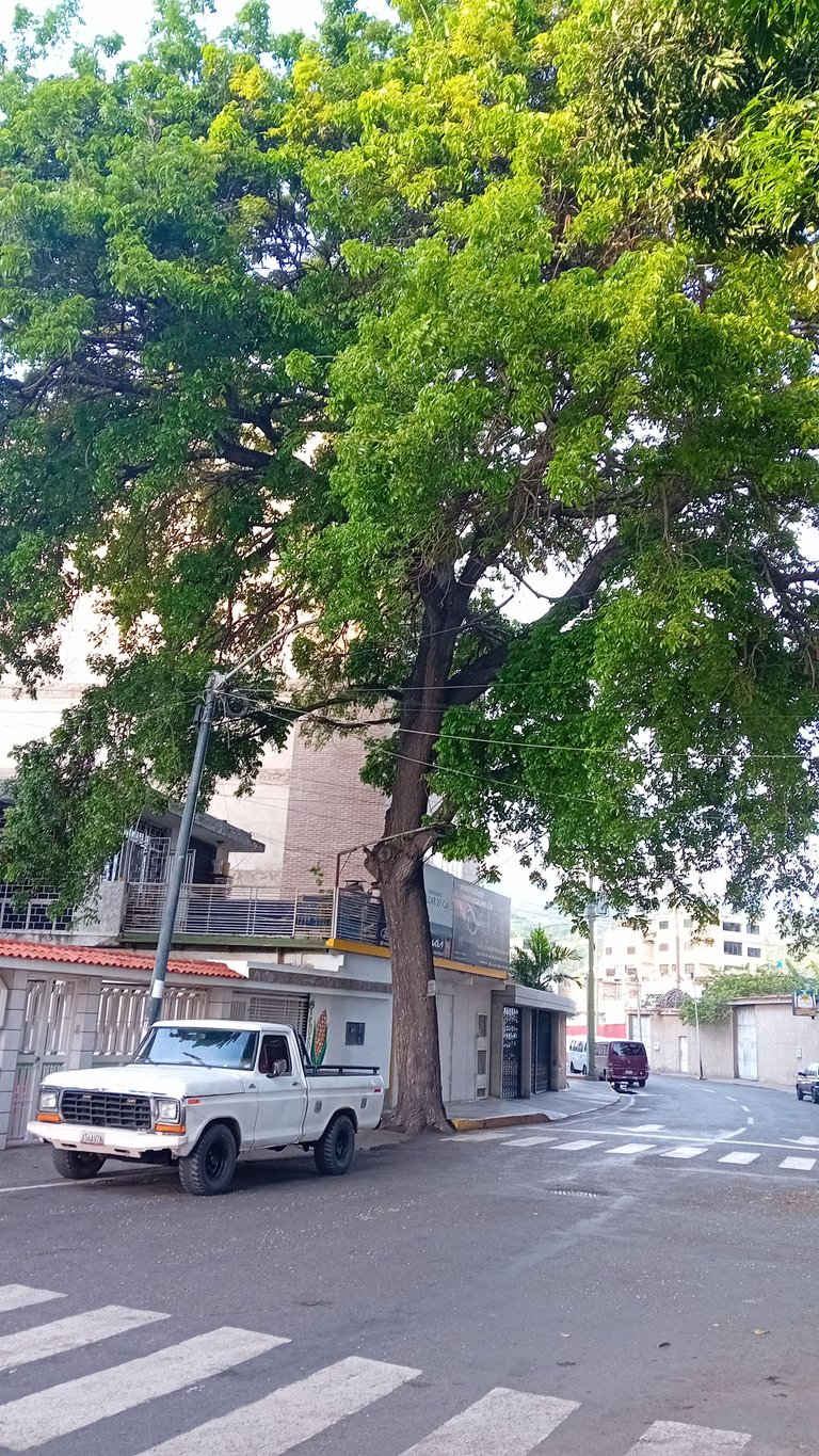 20250531_065400.jpg