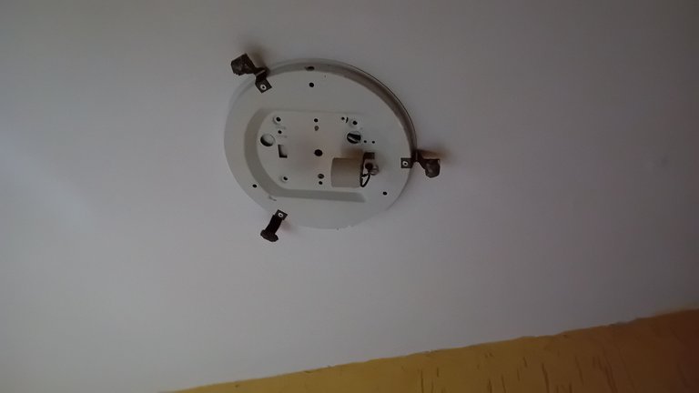 20250329_103553.jpg