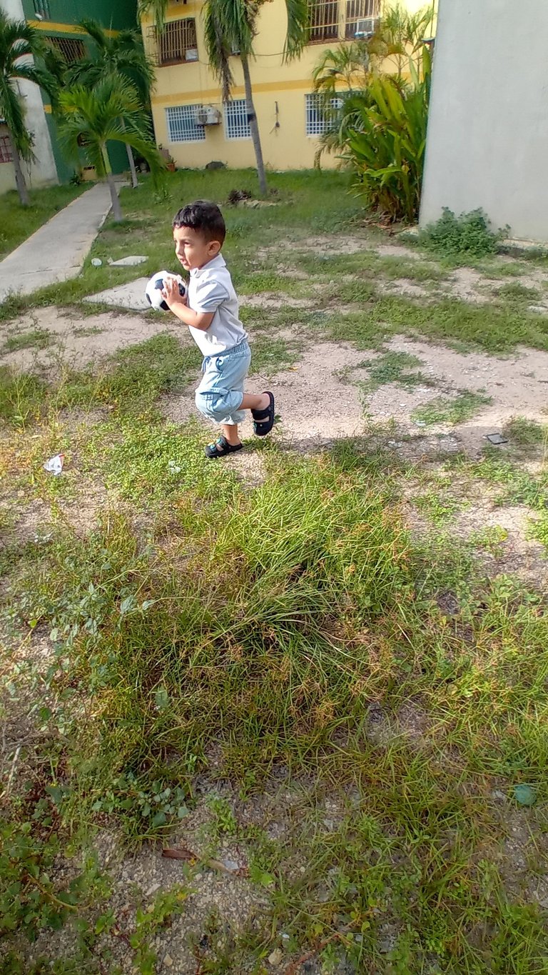 20250721_164441.jpg